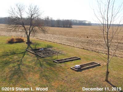 Our Senior Garden - December 11, 2019