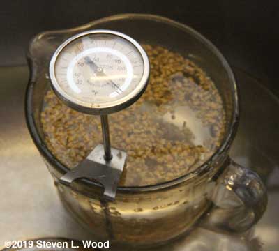 Hot water treating a single variety of tomato seed