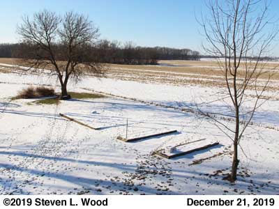 Our Senior Garden - December 21, 2019