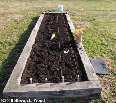 Bed for garlic