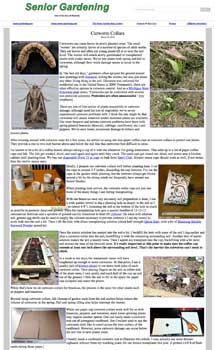 Cutworm Collars