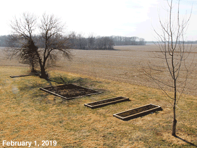 February, 2019, animated GIF of our Senior Garden