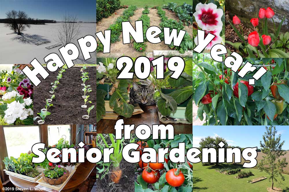 Happy New Year from Senior Gardening