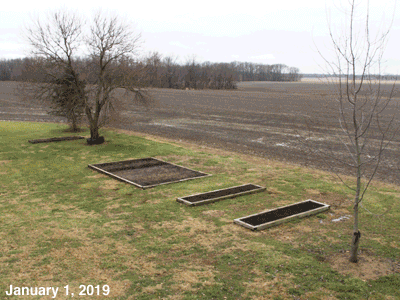 January, 2019, animated GIF of our Senior Garden