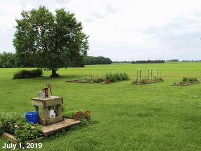 July, 2019, animated GIF of our Senior Garden