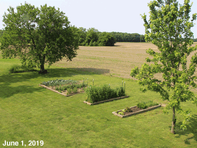 June, 2019, animated GIF of our Senior Garden
