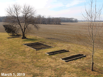 March, 2019, animated GIF of our Senior Garden