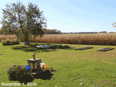 November, 2019, animated GIF our our Senior Garden