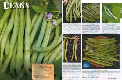 pp16-17 Seed Savers Beans