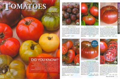 Seed Savers Tomatoes