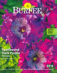 Burpee Seed Company