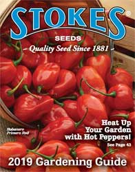 Stokes Seeds