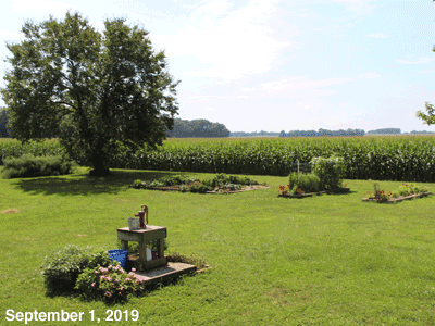 September, 2019, animated GIF of our Senior Garden