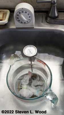 Pyrex cup and Weston darkroom thermometer