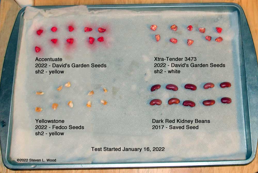 Germination Test - January 16, 2022