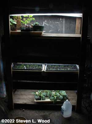 Plant rack - January 26, 2022