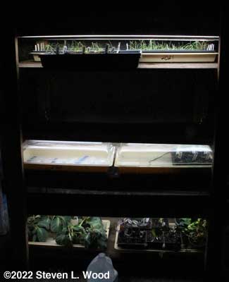 Plant rack - January 29, 2022