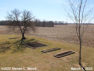 Our Senior Garden - March 1, 2022