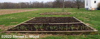 Our raised garden beds - March 30, 2022