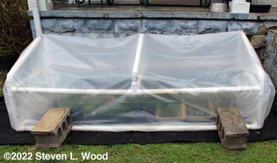 Cold frame anchored with cinder blocks