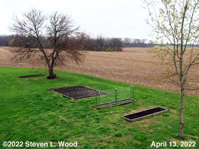 Our Senior Garden - April 13, 2022