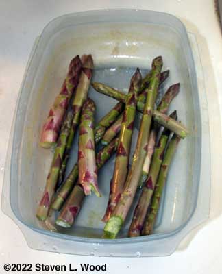 A light first picking of asparagus