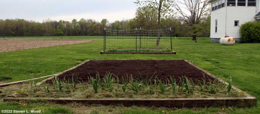 Main raised bed tilled
