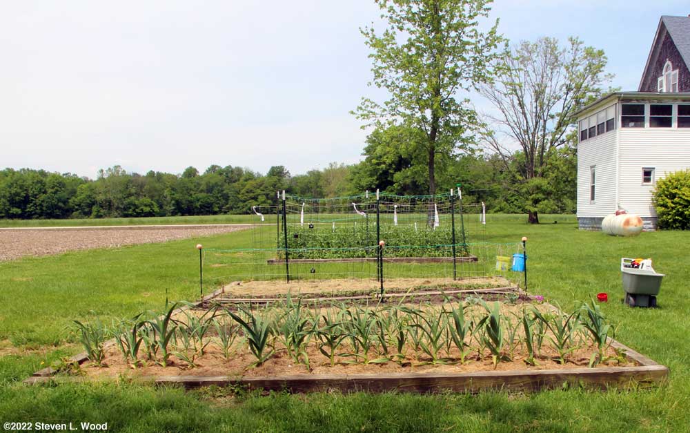 Raised beds completely planted!!!