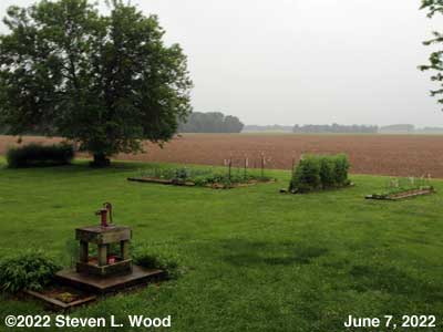 Our Senior Garden - June 8, 2022