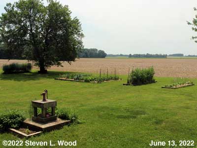 Our Senior Garden - June 13, 2022