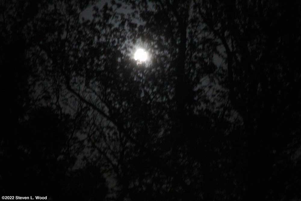 Strawberry moon