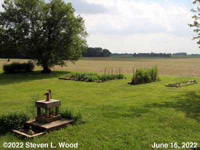 Our Senior Garden - June 16, 2022
