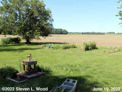 Our Senior Garden - June 19, 2022