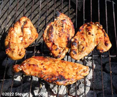 Chicken breast filets on the grill