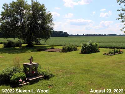 Our Senior Garden - August 23, 2022