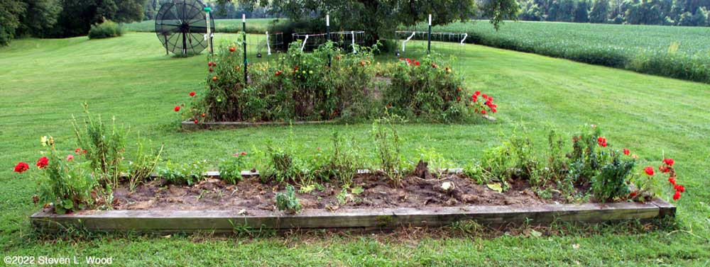 Cucumber vines, T-posts, and trellis netting removed from narrow raised bed