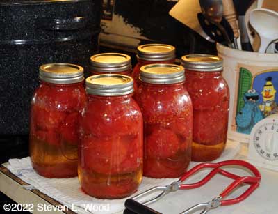 Six more quarts of canned whole tomatoes