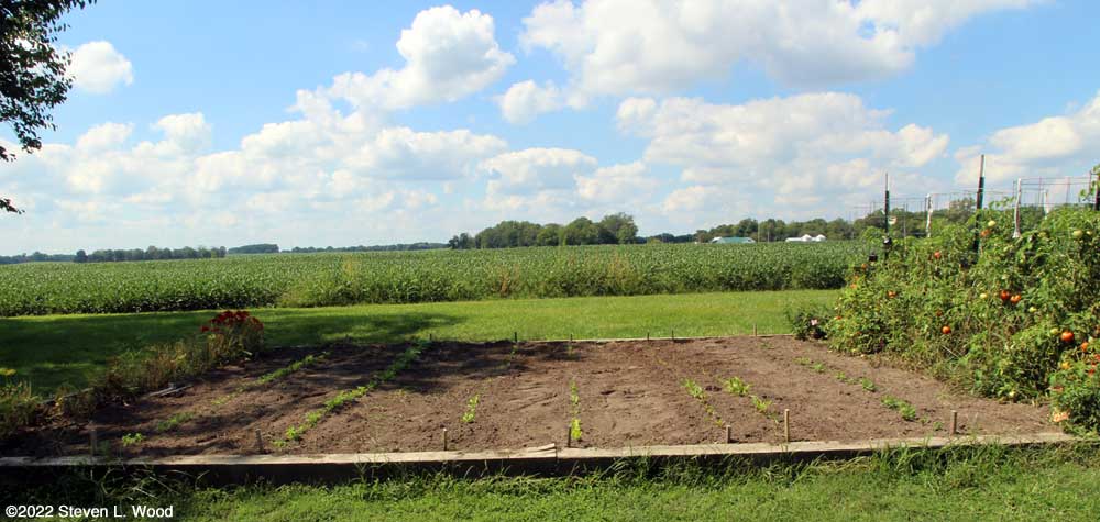 Cleaned up fall plantings