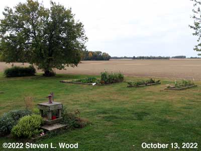 Our Senior Garden - October 13, 2022