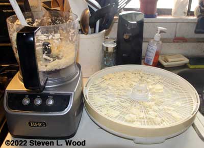 Garlic sliced and going on dehydrator trays