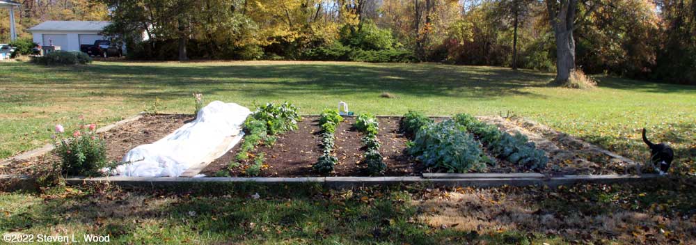 Main raised garden bed - October 27, 2022
