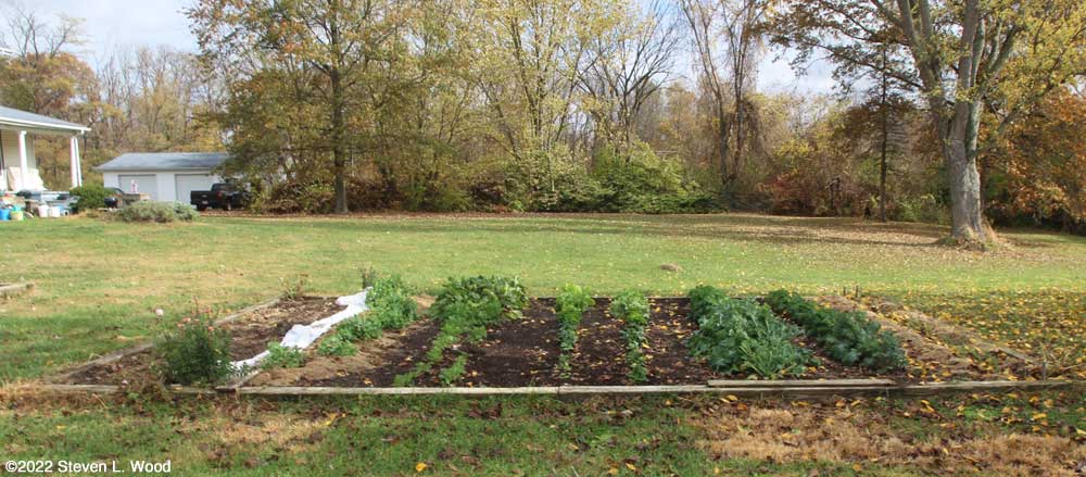 Main raised bed - October 31, 2022