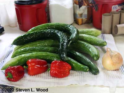 Long cucumers, small peppers