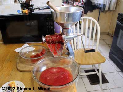 Making tomato purée