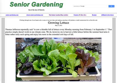Growing Lettuce how-to