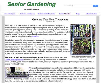Growing Your Own Transplants