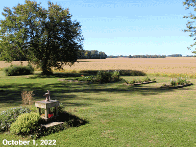 October, 2022, animated GIF of our Senior Garden