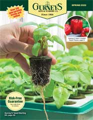 Gurney's Seed