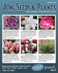 Jung Seed