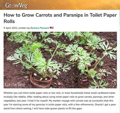 Growing carrots in toilet paper rolls